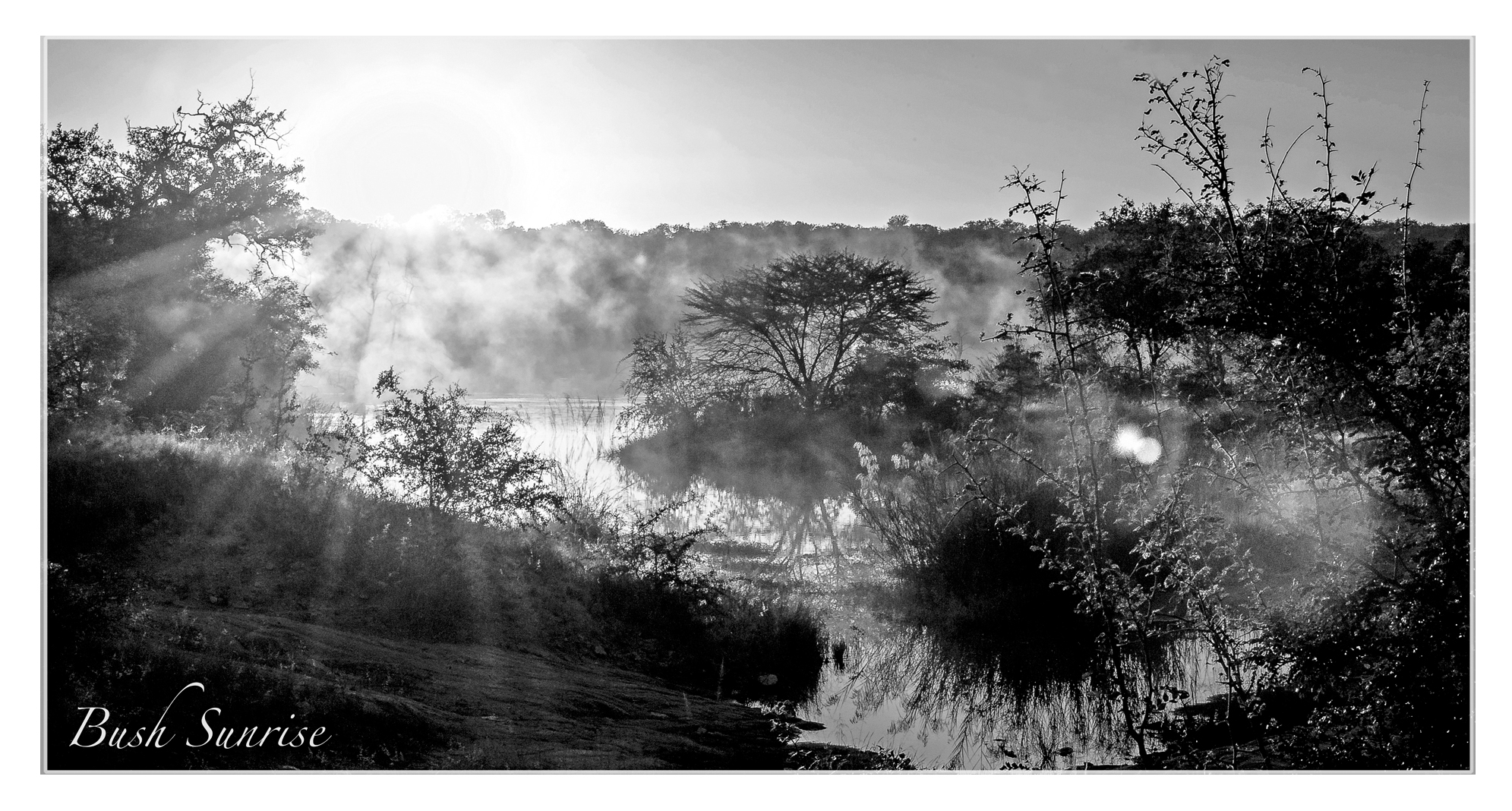 Bush Sunrise