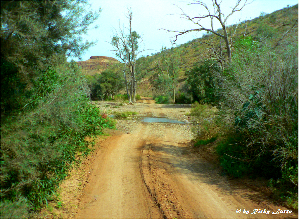 *** Bush Track to Chambers Gorge ***