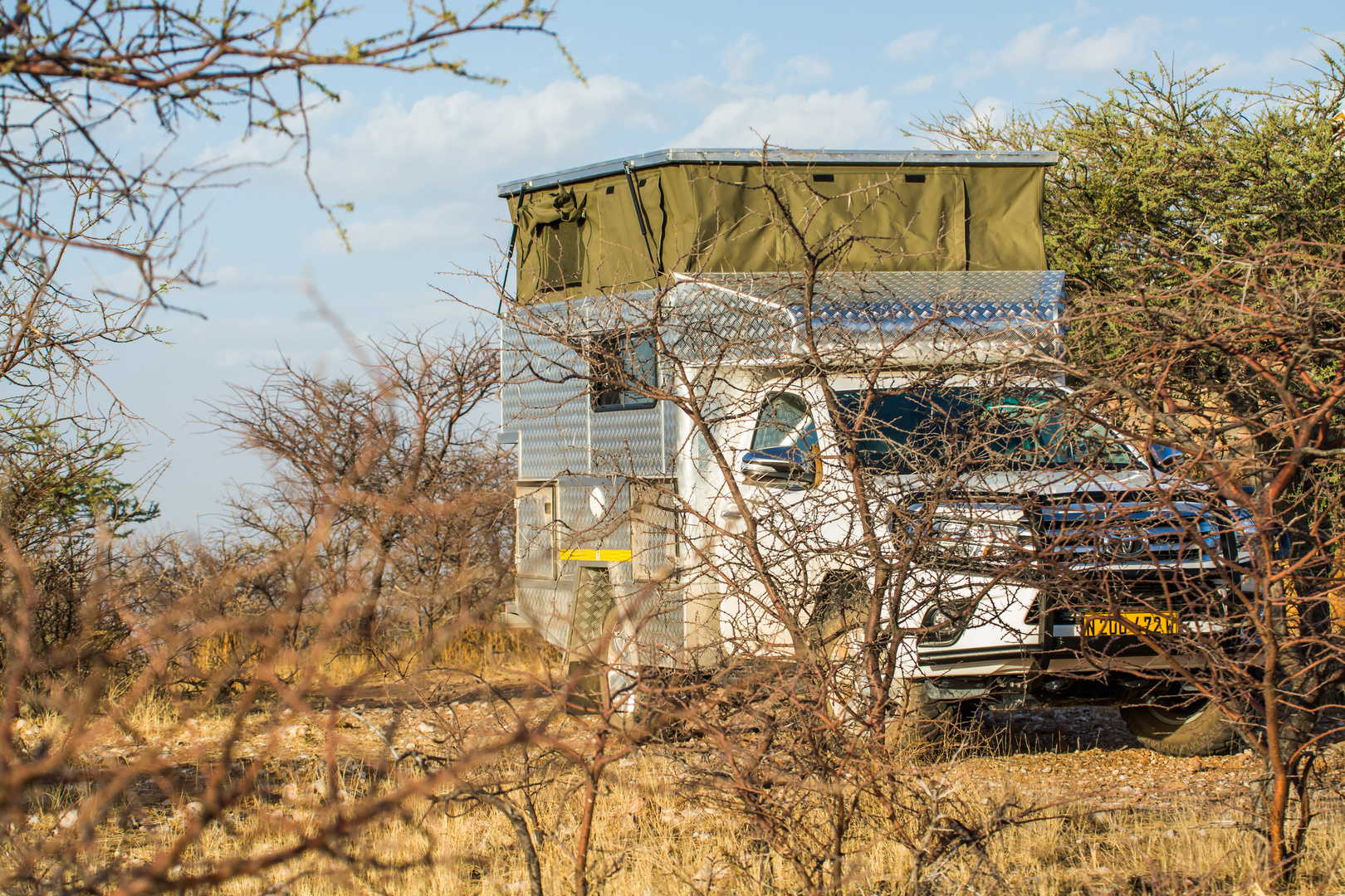 "Bushcamper" in seiner natürlichen Umgebung