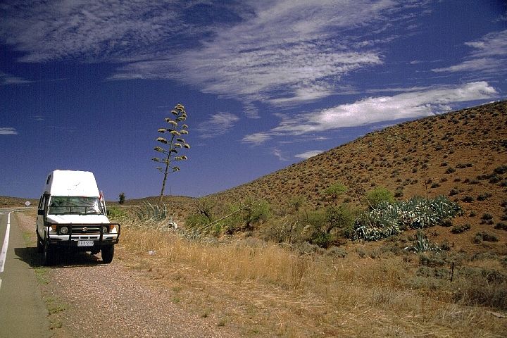 Bushcamper und Agave, Flinders Ranges SA