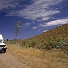 Bushcamper und Agave, Flinders Ranges SA