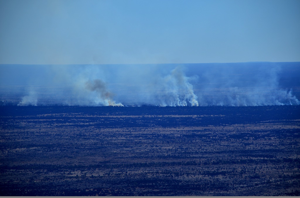 Bushfires