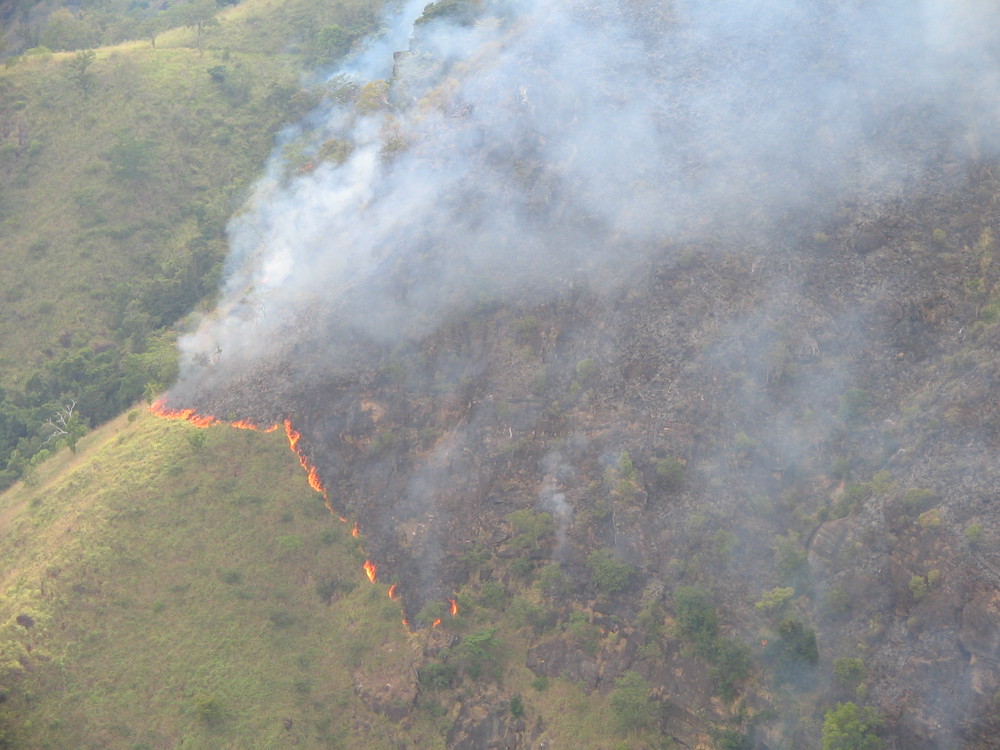 BushFIres in Sri Lanka