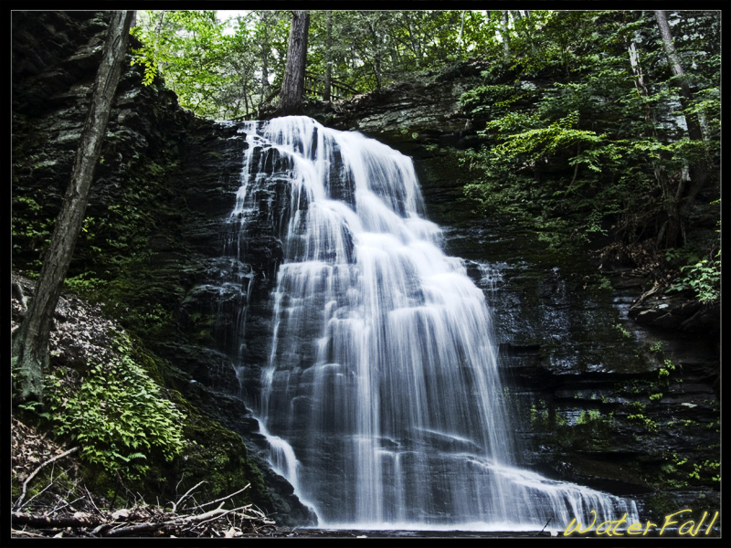 Bushkill falls