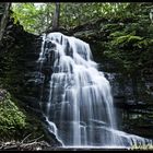 Bushkill falls