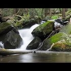 Bushkill Falls Pennsylvania 03