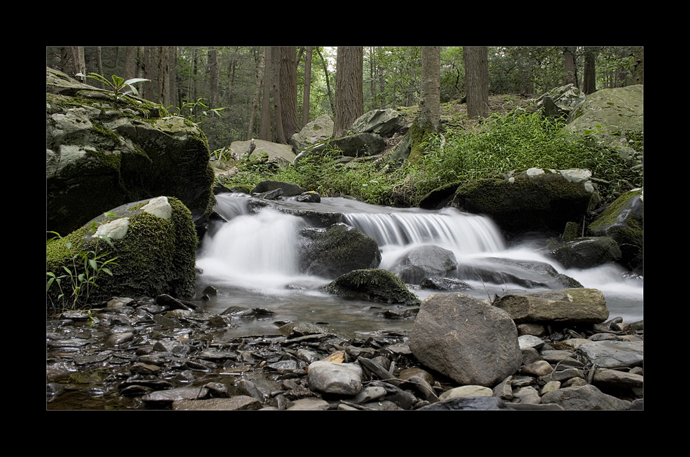 Bushkill Falls Pennsylvania 04