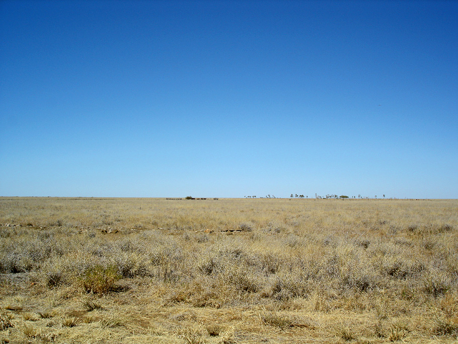 Bushland @ NT-QLD Border