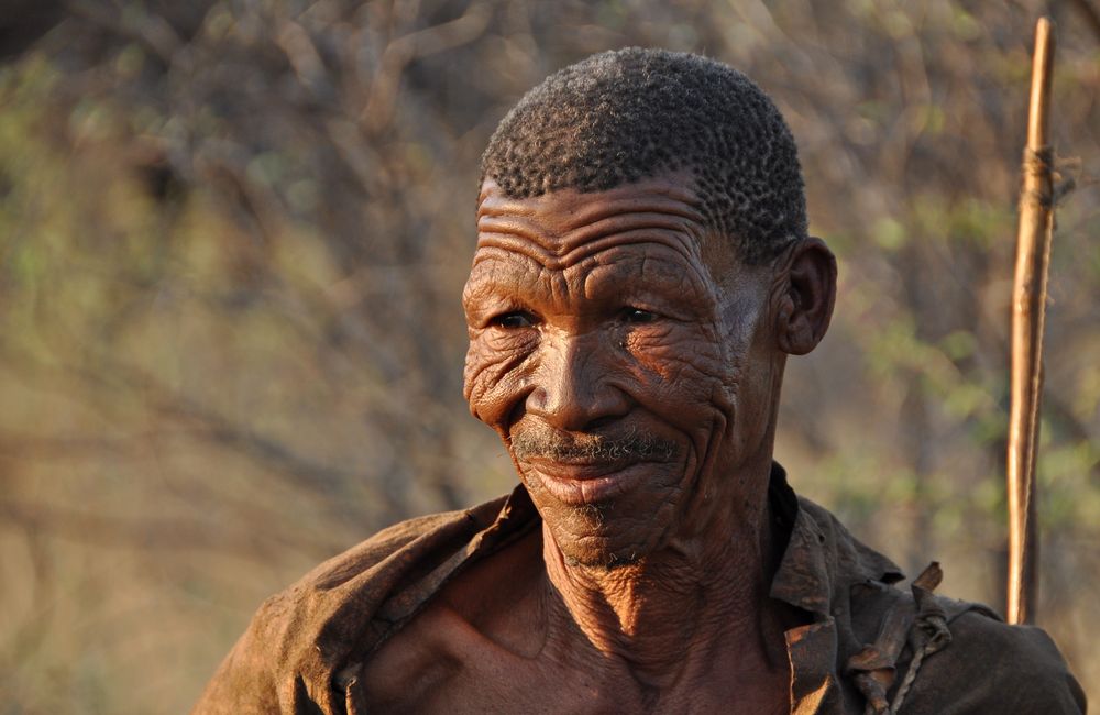 Bushman von bera-foto 