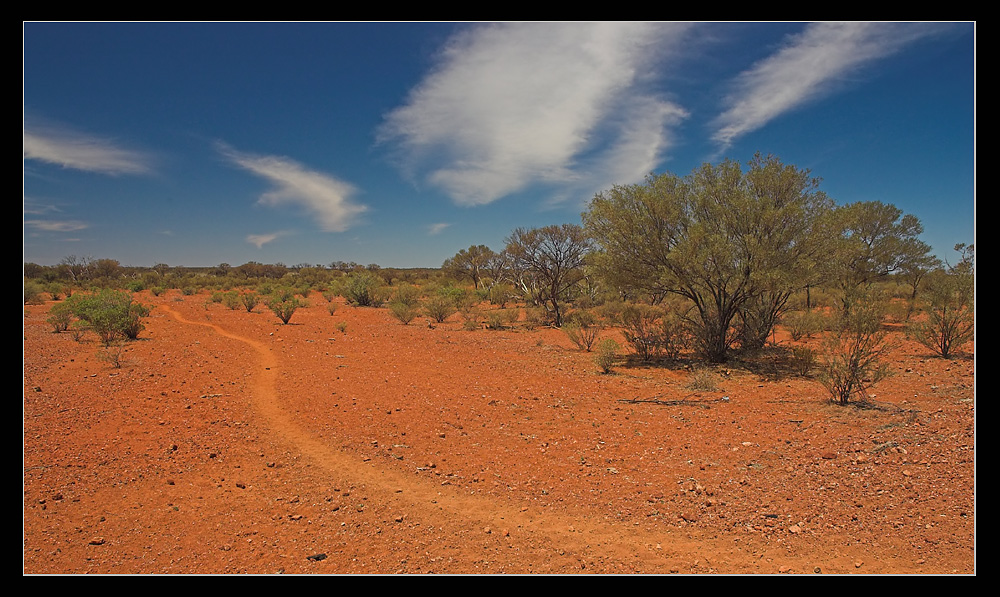 Bushwalk