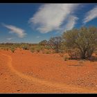 Bushwalk