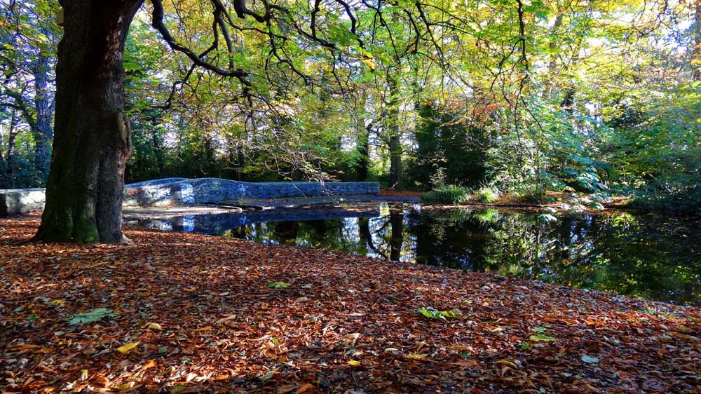 Bushy Park, Dublin