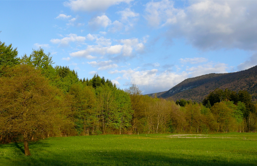 Busleten im Morgenlicht