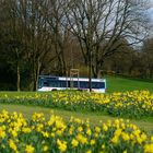 Buslinie 643 Wuppertal