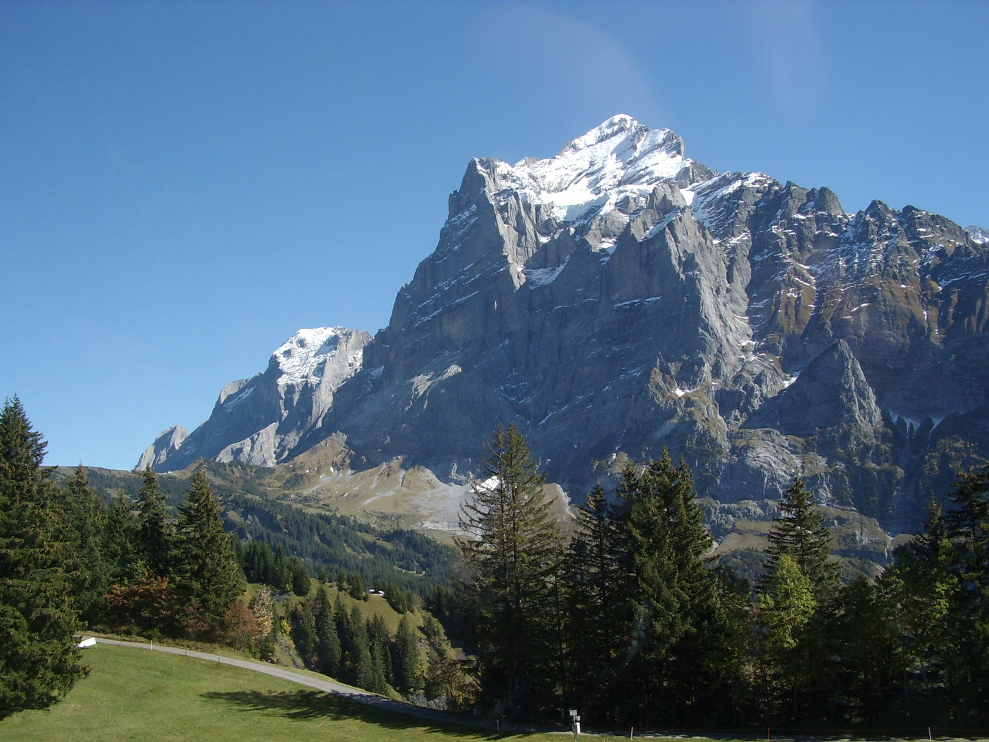 Bussalp Berg-Panorama