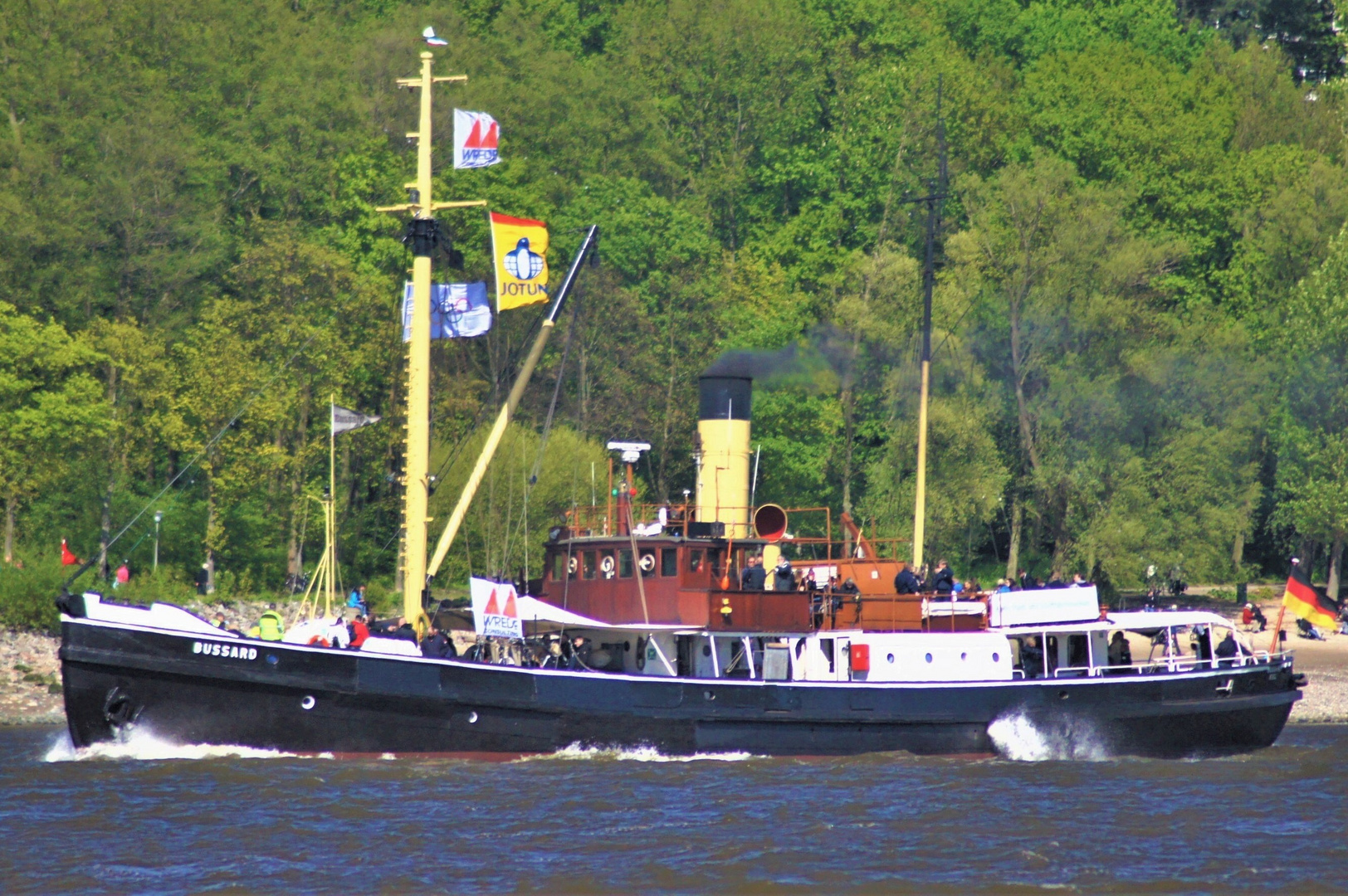 BUSSARD Foto & Bild fotos, world, dokumentation Bilder auf