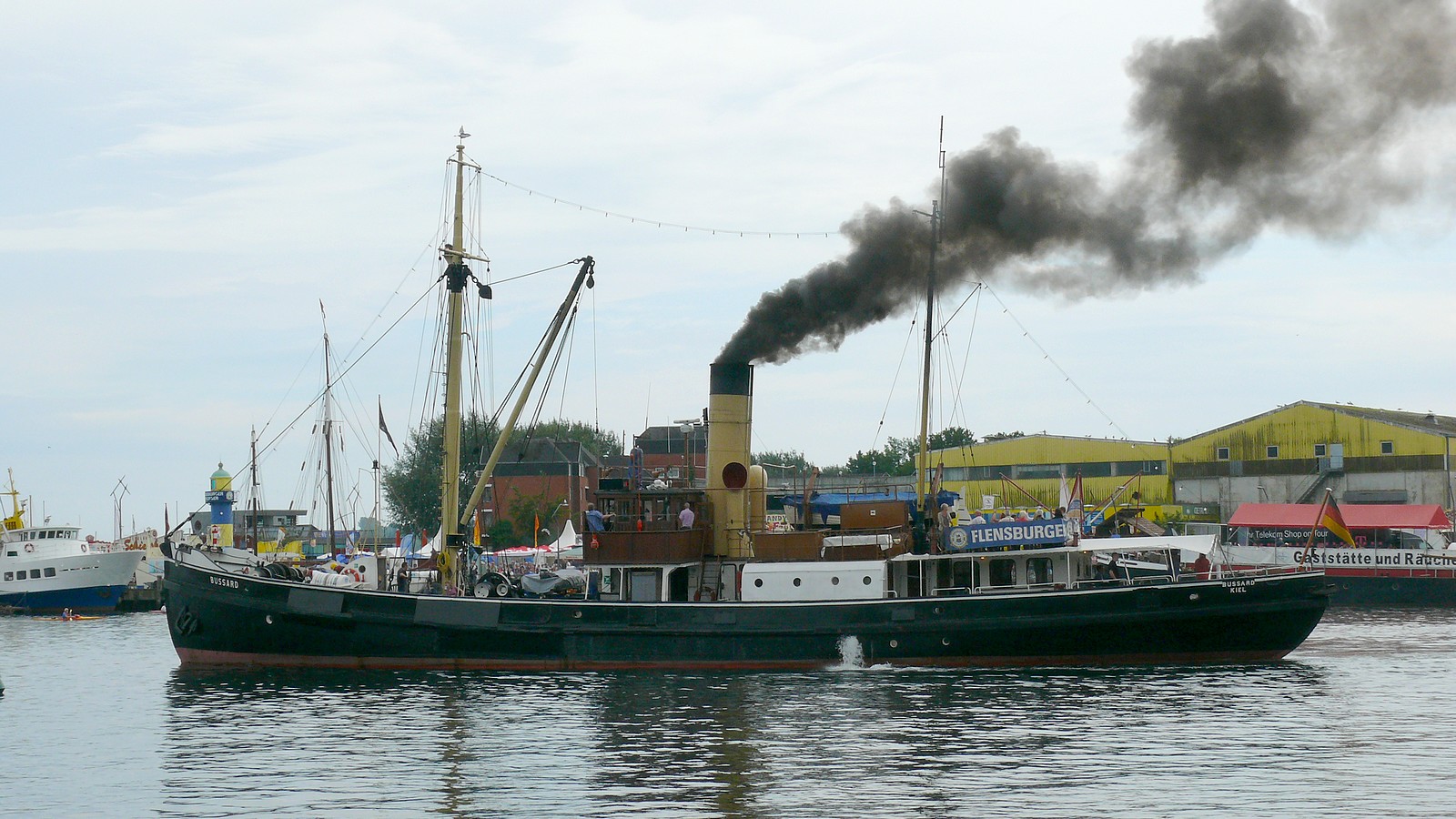 Bussard bei den Eck.- Sprottentagen 2012