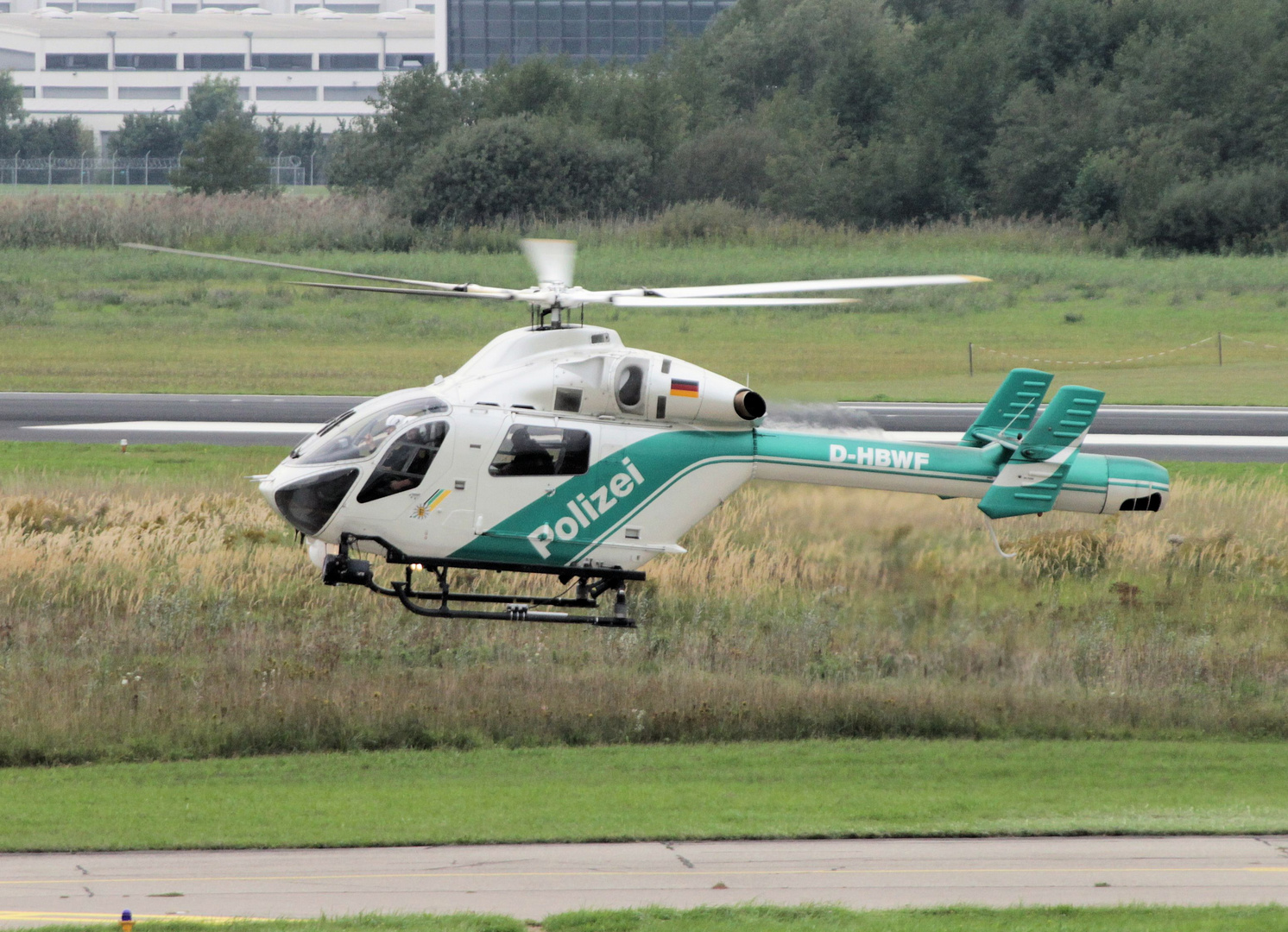 Bussard beim Abflug [FDH]