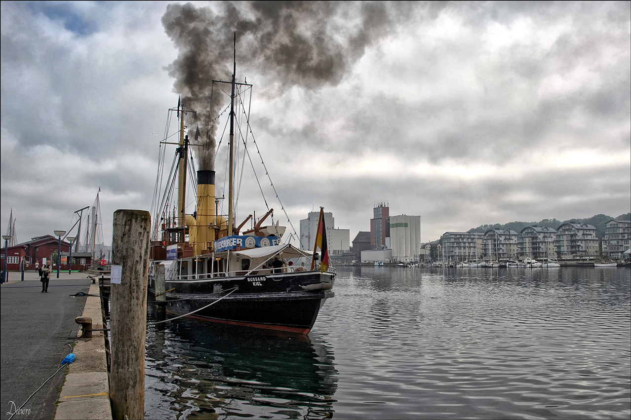 BUSSARD im Flensburger Hafen