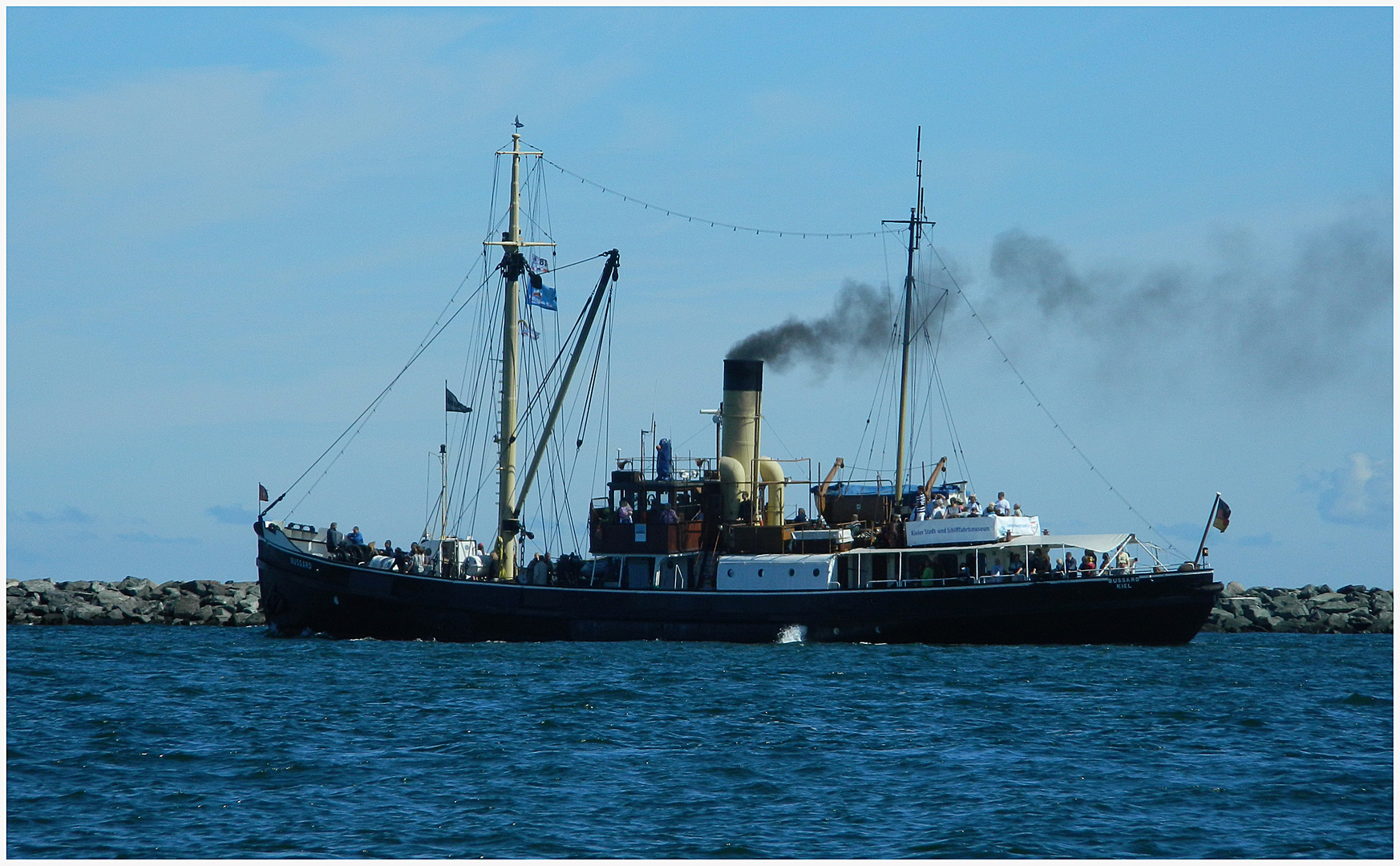 Bussard von Kiel