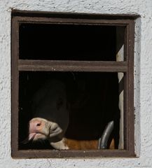 Busserl gefällig ? ;-)