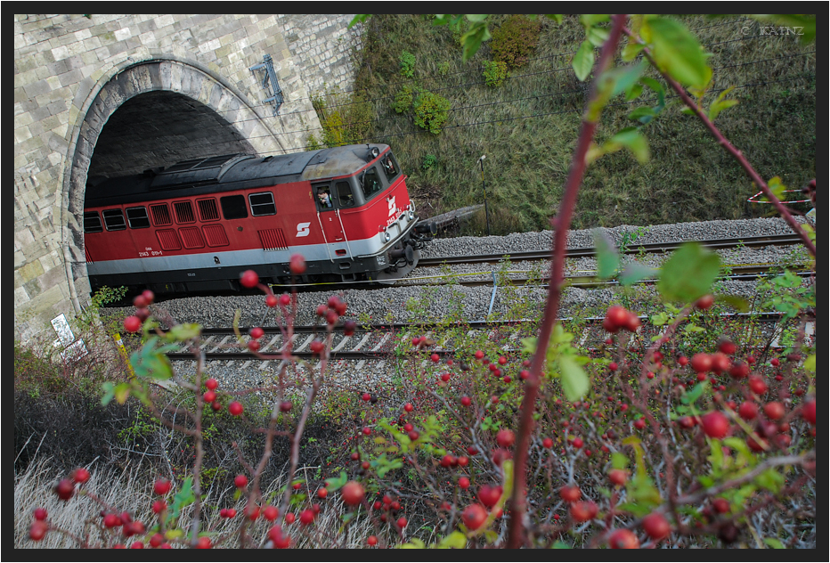 Busserltunnel im Herbst