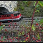 Busserltunnel im Herbst