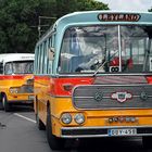 Busses from Malta