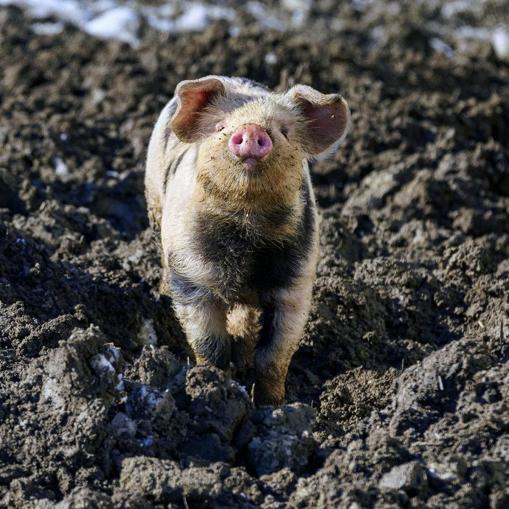 Bussi Foto Bild Natur Emotionen Tiere Bilder Auf Fotocommunity