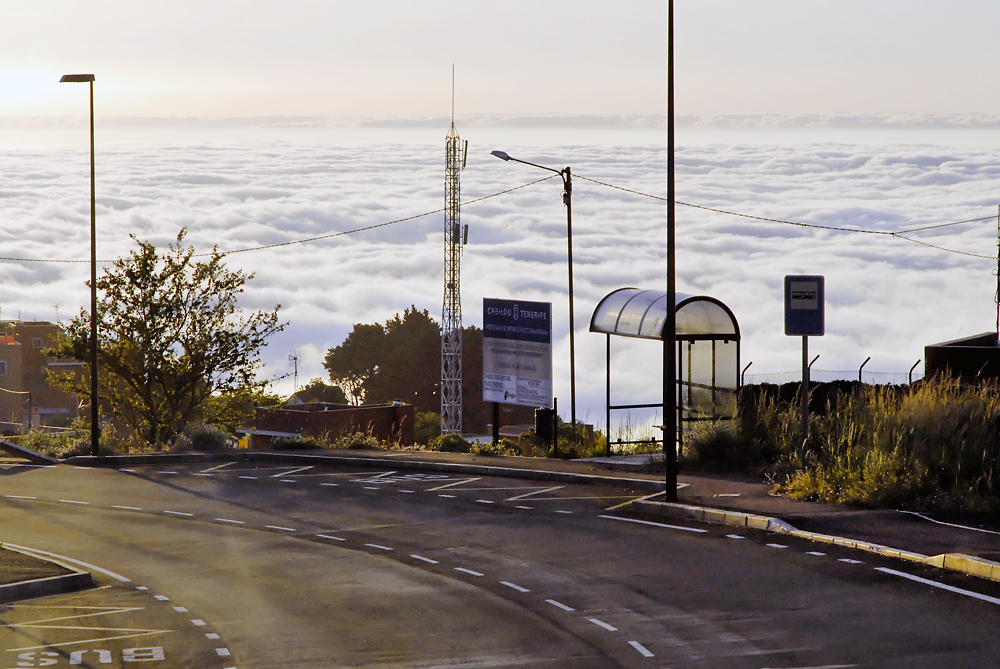 Busstop über den Wolken - TF6