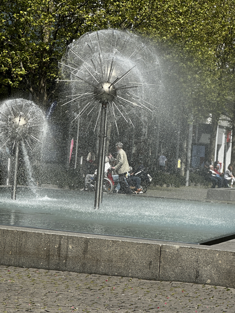 Busteblume brunnen Dresden