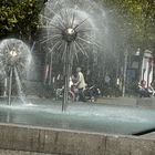 Busteblume brunnen Dresden