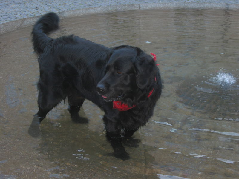 Buster im Brunnen