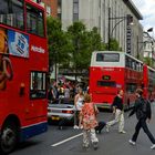 busy busses