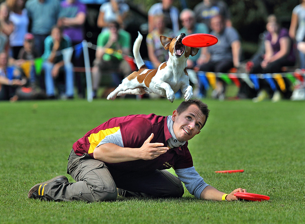 Butch-Cassidy-Cup 2011 (DM im Hundefrisbee) II