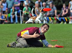 Butch-Cassidy-Cup 2011 (DM im Hundefrisbee) II