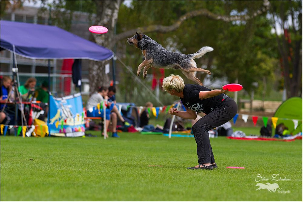 Butch Cassidy Cup Deutsche Meisterschaft Disc Dogging Meisterschaft