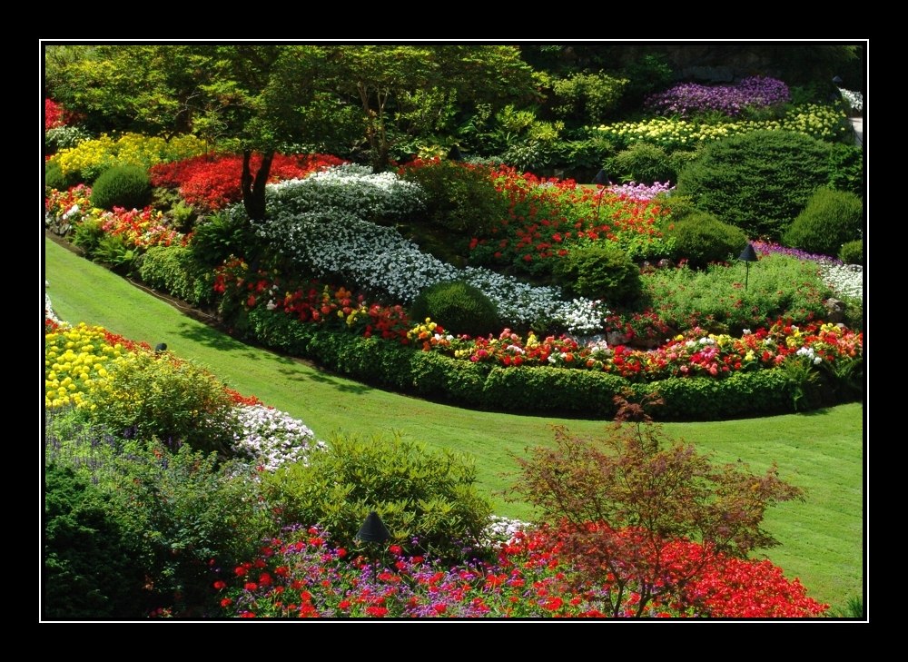 Butchart Garden