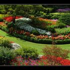 Butchart Garden