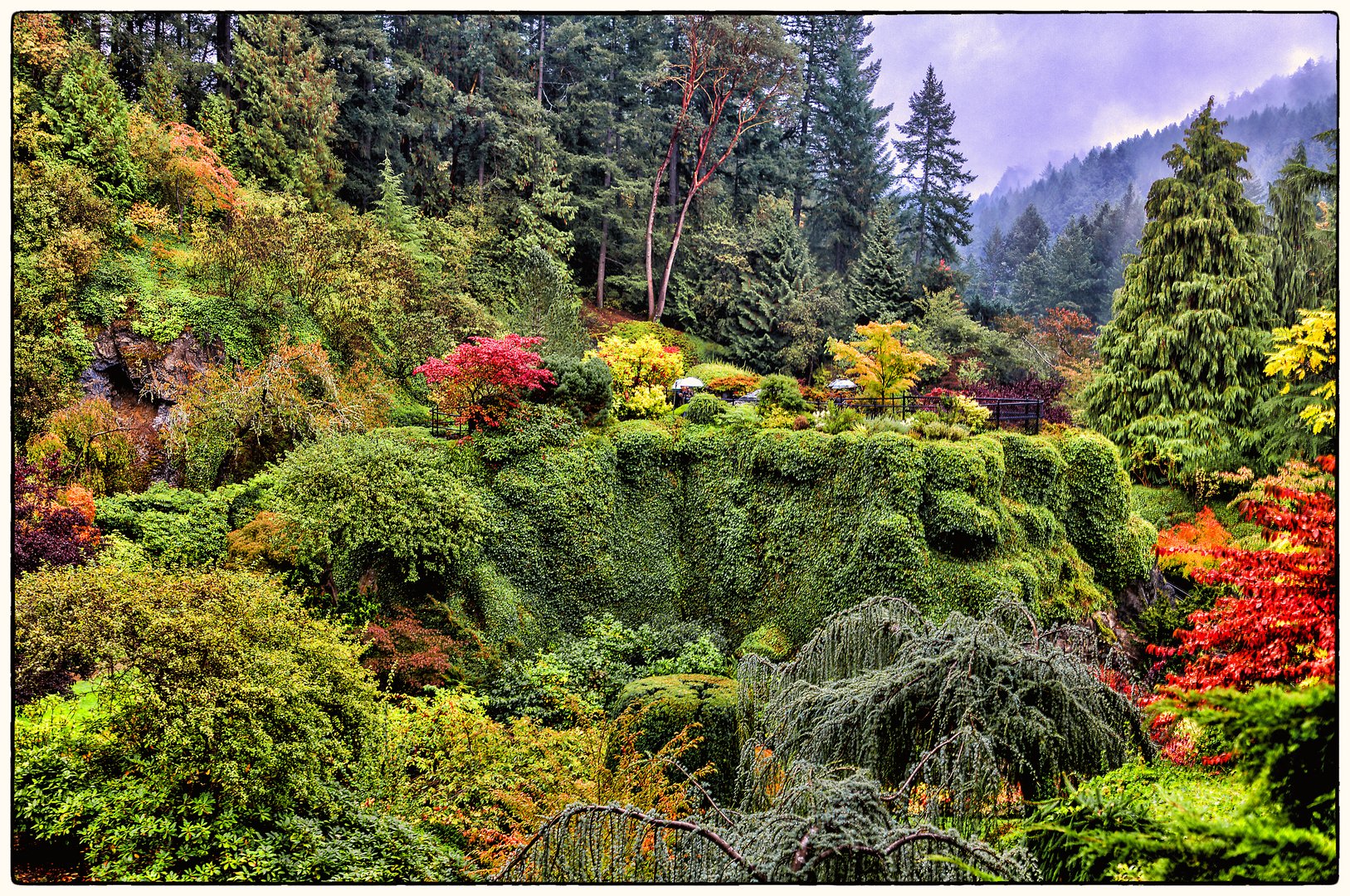 Butchart Gardens