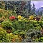 Butchart Gardens