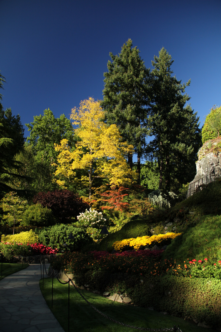 Butchart Gardens