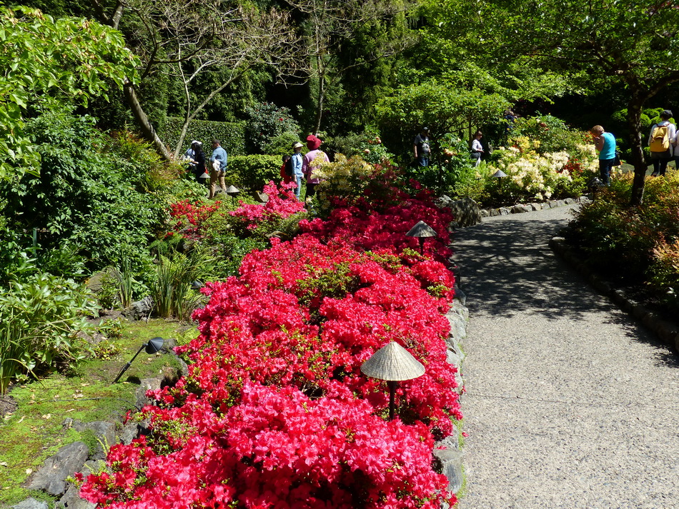 Butchart Gardens, Vancouver Island I