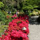 Butchart Gardens, Vancouver Island I