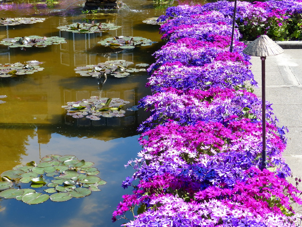 Butchart Gardens, Vancouver Island II