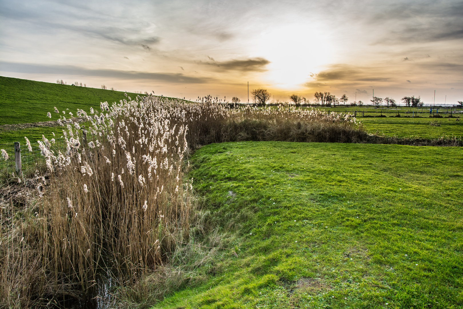 Butjadinger Landschaft