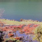 [butrint * albanien 2011]