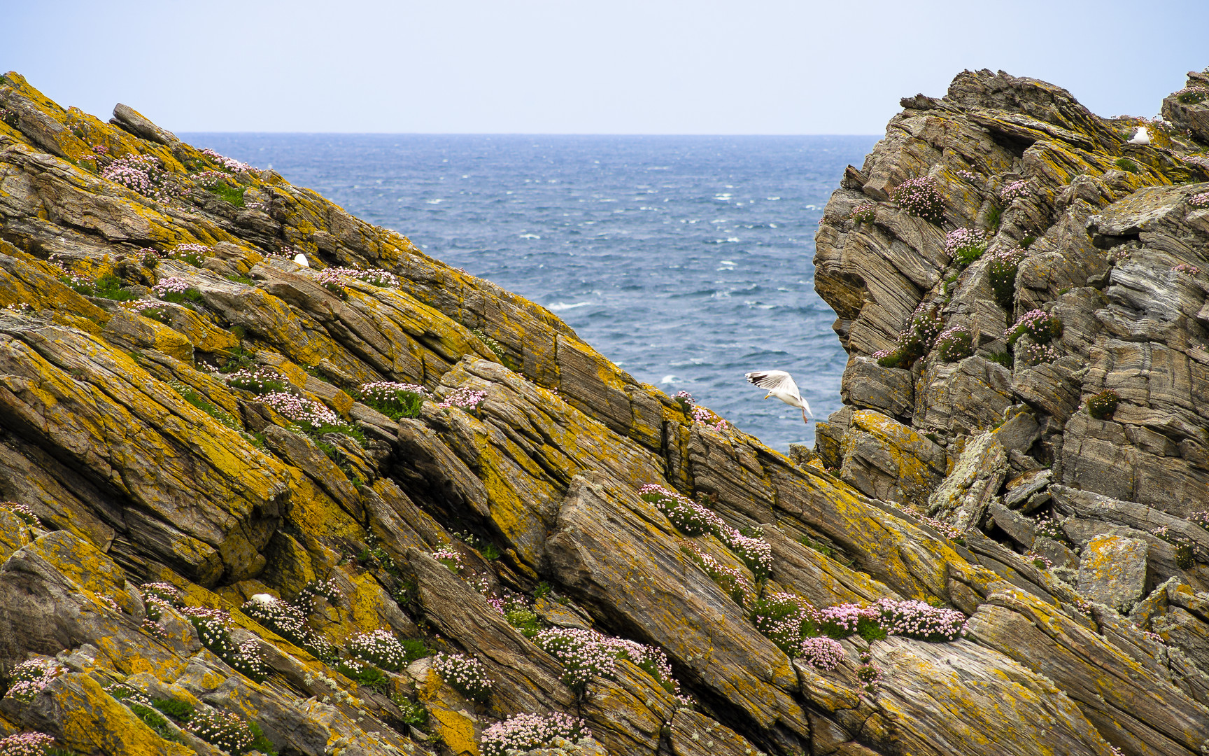 Butt of Lewis, Schottland