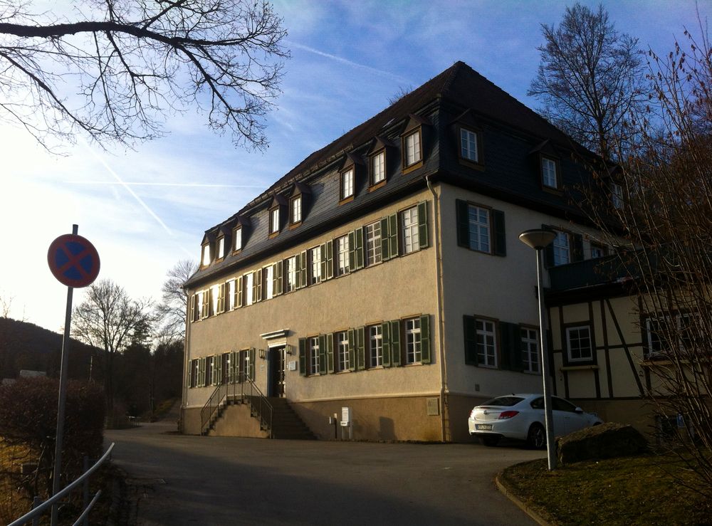 Buttenhausen, Schloss