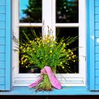 Butterblumen vor einem Friesenhausfenster